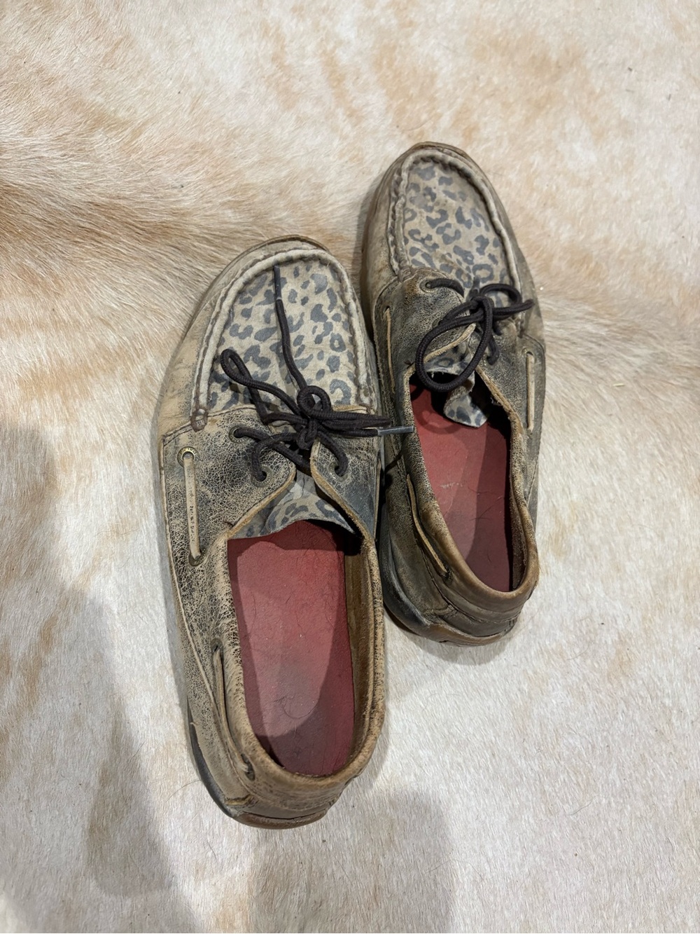 Twisted X Brown Leopard Print shoes